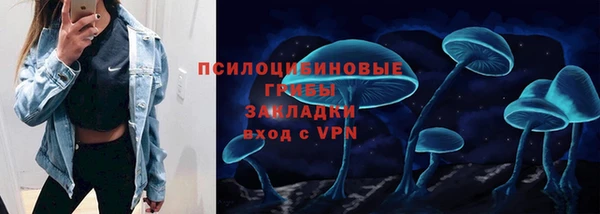герыч Осинники