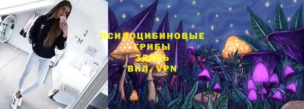 бошки Абаза