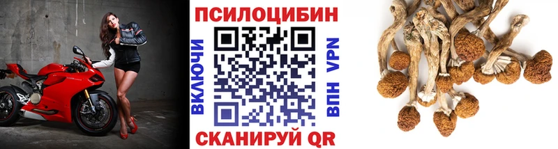 Псилоцибиновые грибы MAGIC MUSHROOMS Канск